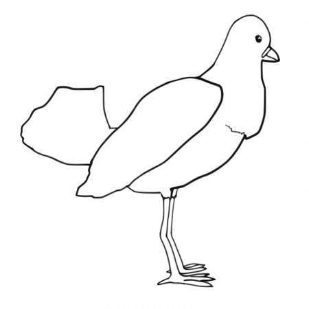 Clipart - Bird (outline)