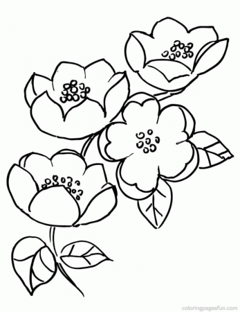 Cherry Blossom branch Colouring Pages