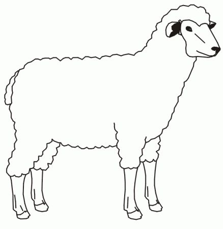 Lamb Line Drawing