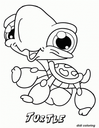 Didi Coloring Page Printable Cute Turtle For Coloring Kids 