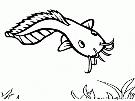 Mr Crabs Colouring Pages 281458 Mr Krabs Coloring Page