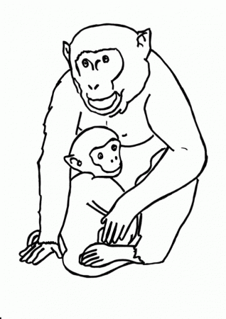Jumbo Coloring Pages Gorilla Coloring Printable Page Funny 157778 