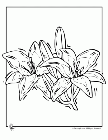 fantasy jr lily flower coloring page