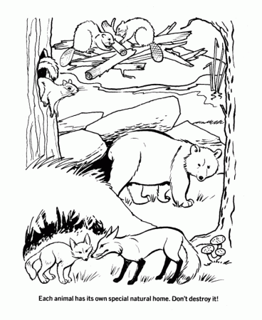Earth Day Coloring Pages - Protect natural habitats - Ecology 