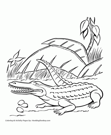 Dinosaur Coloring Pages | Printable Crocodile coloring page sheet and kids  activity page | HonkingDonkey