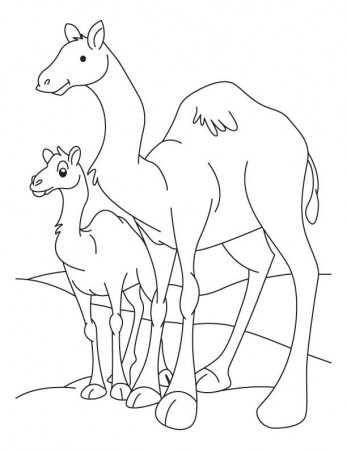 Camel and Baby Camel coloring page | Download Free Camel and Baby ...