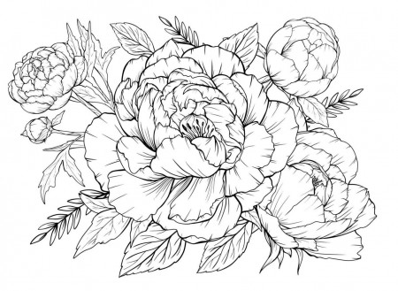 Coloring page with peonies and leaves. Vector page for coloring. Flower Colouring  page. Flo… | Flower coloring pages, Peony drawing, Printable flower coloring  pages