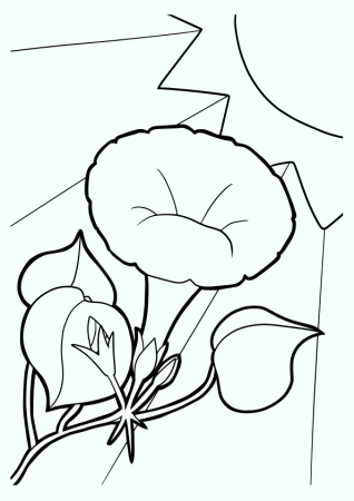 Morning Glory Flower free coloring book page for kids!
