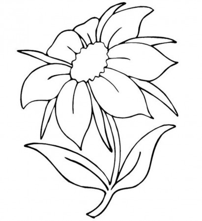 Beautiful Flowers Coloring Pages | Flower Coloring pages of ...