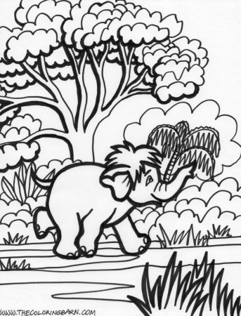 baby farm animal coloring pages smlf. 6 jungle animals. leapfrog ...