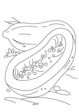 Coloring Pages | Sliced Papaya Coloring Page for kids