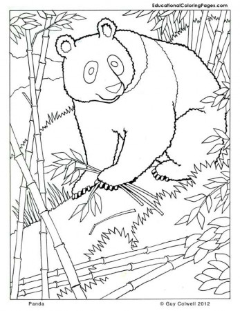 panda coloring, zoo animals coloring, cute, free printables ...