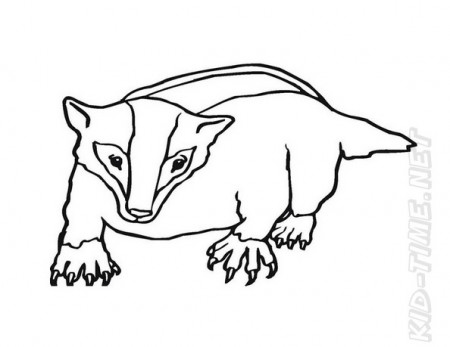 Badger Coloring Book Page | Free Coloring Book Pages Printables