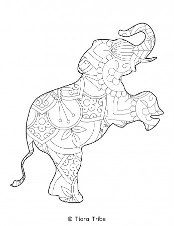 Best Free Animal Mandala Coloring Pages | PDFs to download