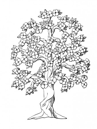 Printable Tree Coloring Pages