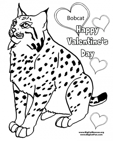 Sam and cat coloring pages to print