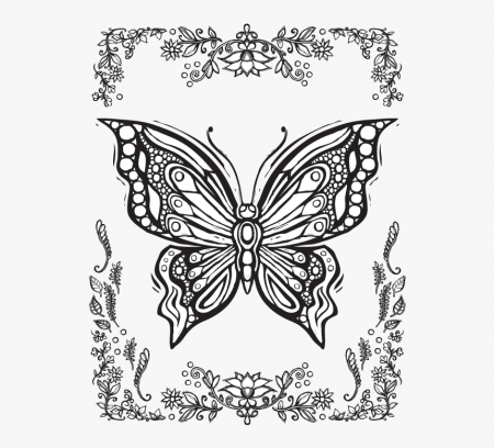 Moth coloring printout Top 25 free printable butterfly coloring pages  youtube | Clarisse.captainamericagifts.com
