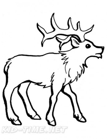 Reindeer / Caribou Coloring Book Page | Free Coloring Book Pages Printables