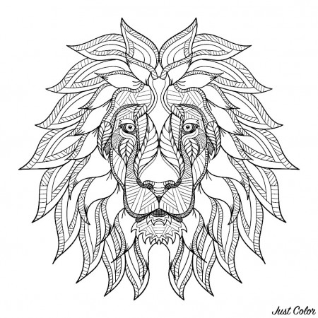 Lion head with big mane - Lions Adult Coloring Pages