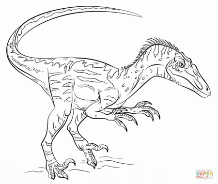 Troodon Coloring Page