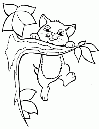 Amazing of Cool Warrior Cat Coloring Only Coloring Pages #596