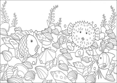 Rainbow Fish Outline