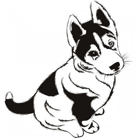 Husky Coloring Pages. Print for Free | WONDER DAY — Coloring pages for  children and adults