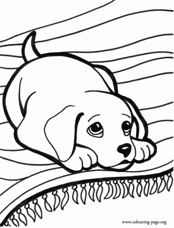 Puppies Coloring Pages Dog Coloring Pages Free Printable Dog Puppy ...