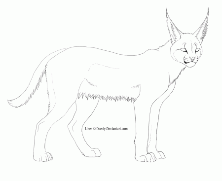 9 Pics of Caracal Coloring Pages - Caracal Cat Coloring Pages ...