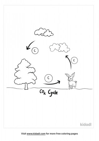 Carbon Cycle Coloring Page posted by Ethan Mercado