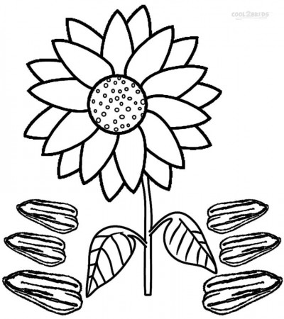 Sunflower Coloring Pages | Sunflower coloring pages, Coloring ...