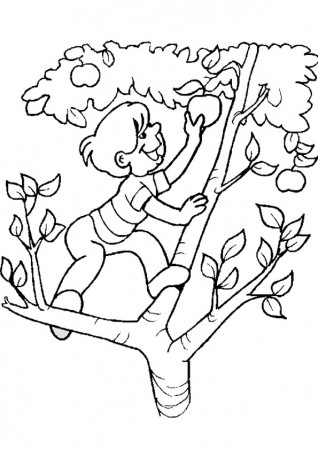 Coloring Pages | Kids Picking Apple Coloring Page