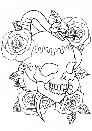 Skull - Coloring Pages for Adults