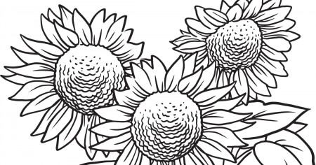 Download Our Printable Wildflower Coloring Pages - Texas Highways