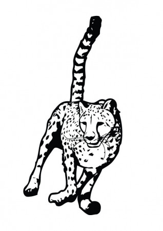 Free Printable Leopard Coloring Pages, Leopard Coloring Pictures for  Preschoolers, Kids | Parentune.com