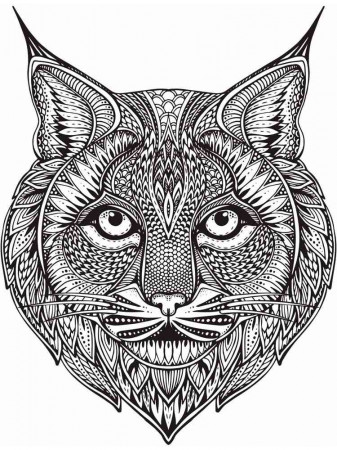 Lynx coloring pages for Adults