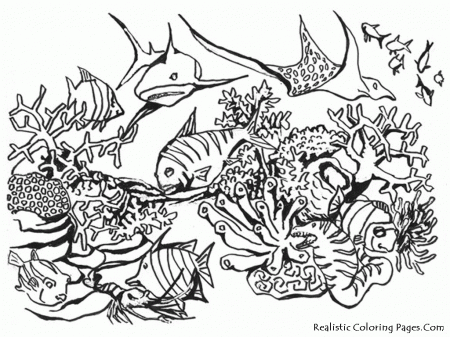 realistic animals coloring pages | Only Coloring Pages