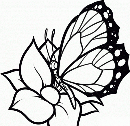 Coloring Pages Flower Free Printable Coloring Pages Easy Printable ...