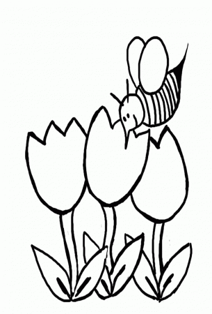 Coloring Pages For Preschoolers | Only Coloring Pages