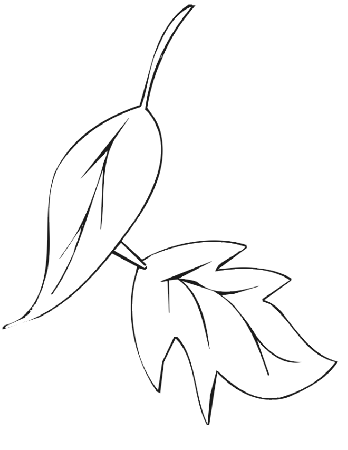 Autumn Leaves Coloring Page | 2 Fall Leaves