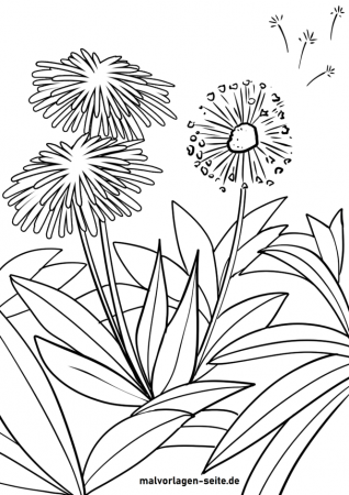 Great coloring page dandelion | Plants | Free coloring pages