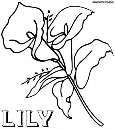 19 Cool Photos Of Lilly Coloring Page | Crafted Here