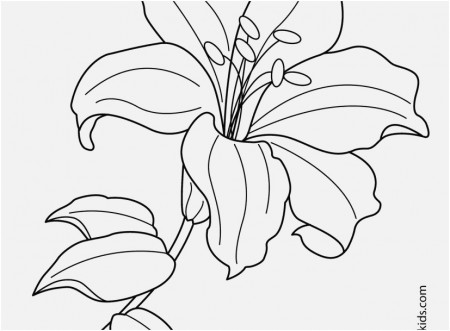 Crucifixion Coloring Pages Capture Coloring Pages Easter Lily ...
