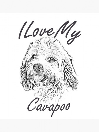 I Love My Cavapoo
