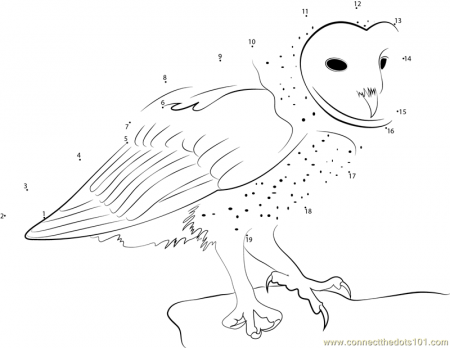 Owl dot to dot printable worksheet - Connect The Dots