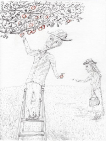 Apple picking Drawing by Jim Taylor - Fine Art America