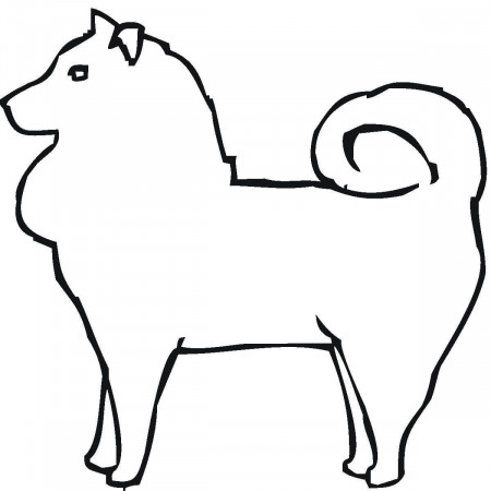Pomeranian Coloring Pages - Dogs ...