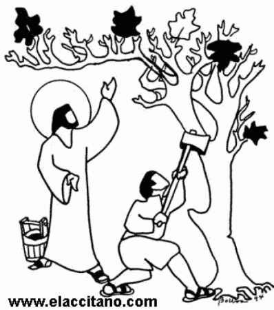 luke 13 1 9 fig tree coloring pages - Clip Art Library