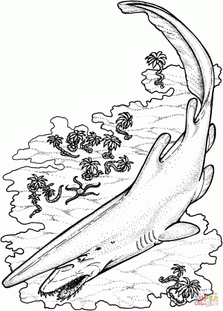 Goblin Shark coloring page from Sharks category. Select from 27278  printable crafts of cartoons… | Shark coloring pages, Spider coloring page,  Animal coloring pages