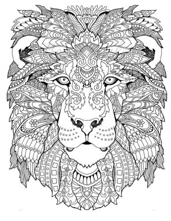 Pin on coloring lion, tiger